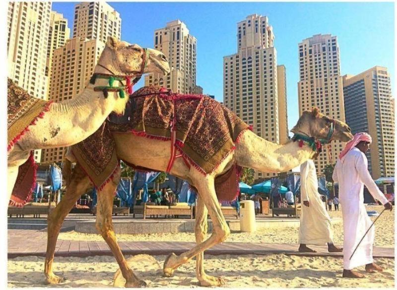 Luxury Apartments In Dubai Marina Exterior foto